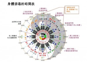 身體排毒時間